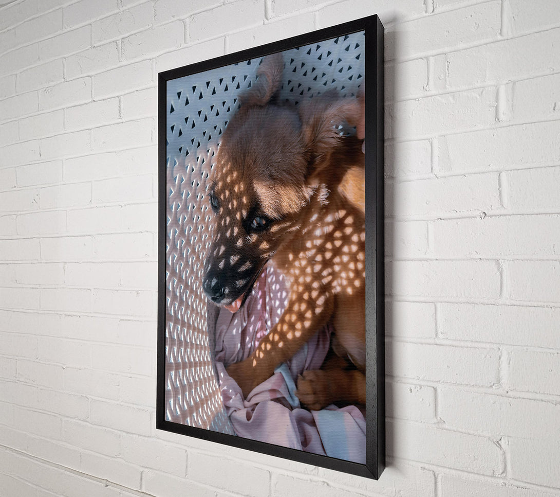  A Canvas Print of Golden Sunbeam Snuggle Canvas Print