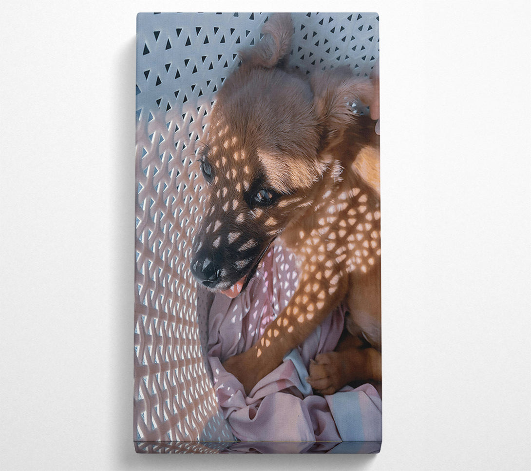  A Canvas Print of Golden Sunbeam Snuggle Canvas Print