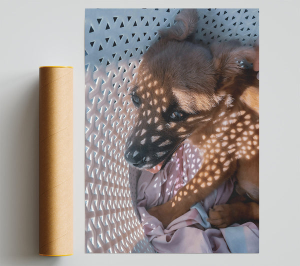 Golden Sunbeam Snuggle Print