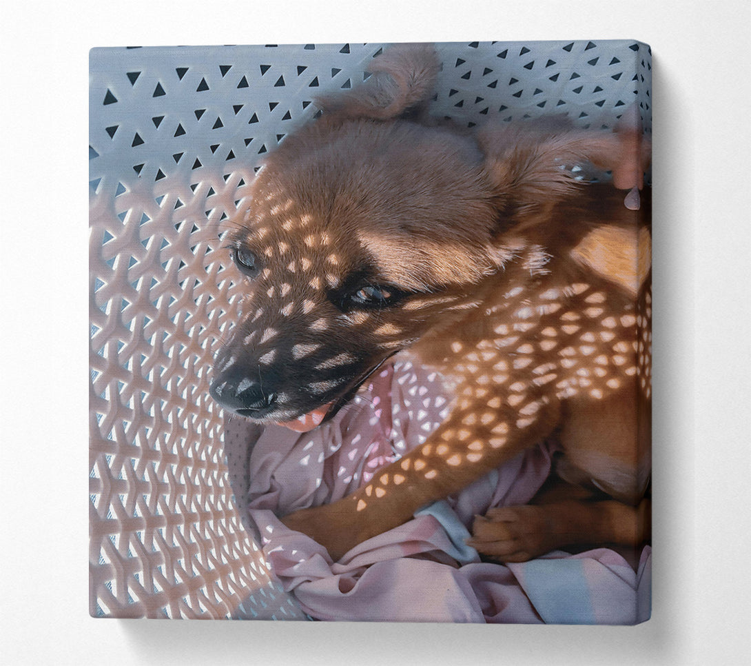  A Canvas Print of Golden Sunbeam Snuggle Canvas Print