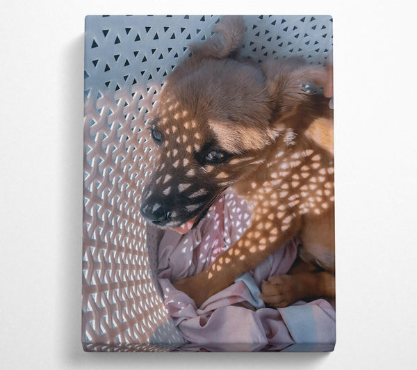  A Canvas Print of Golden Sunbeam Snuggle Canvas Print