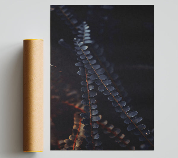Indigo Fern Whispers Giclee Print