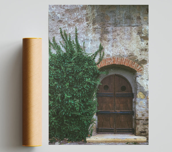 Green Doorway Vines Giclee Print