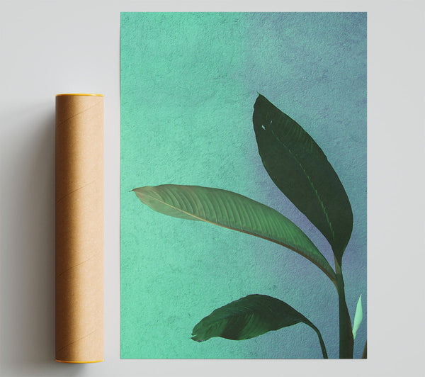Teal Leaf Shadows Print