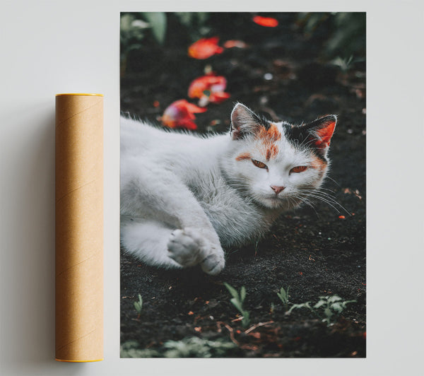Orange Feline Dream Print