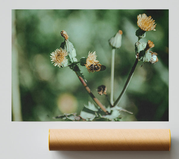 Green Bloom Buzzing Poster
