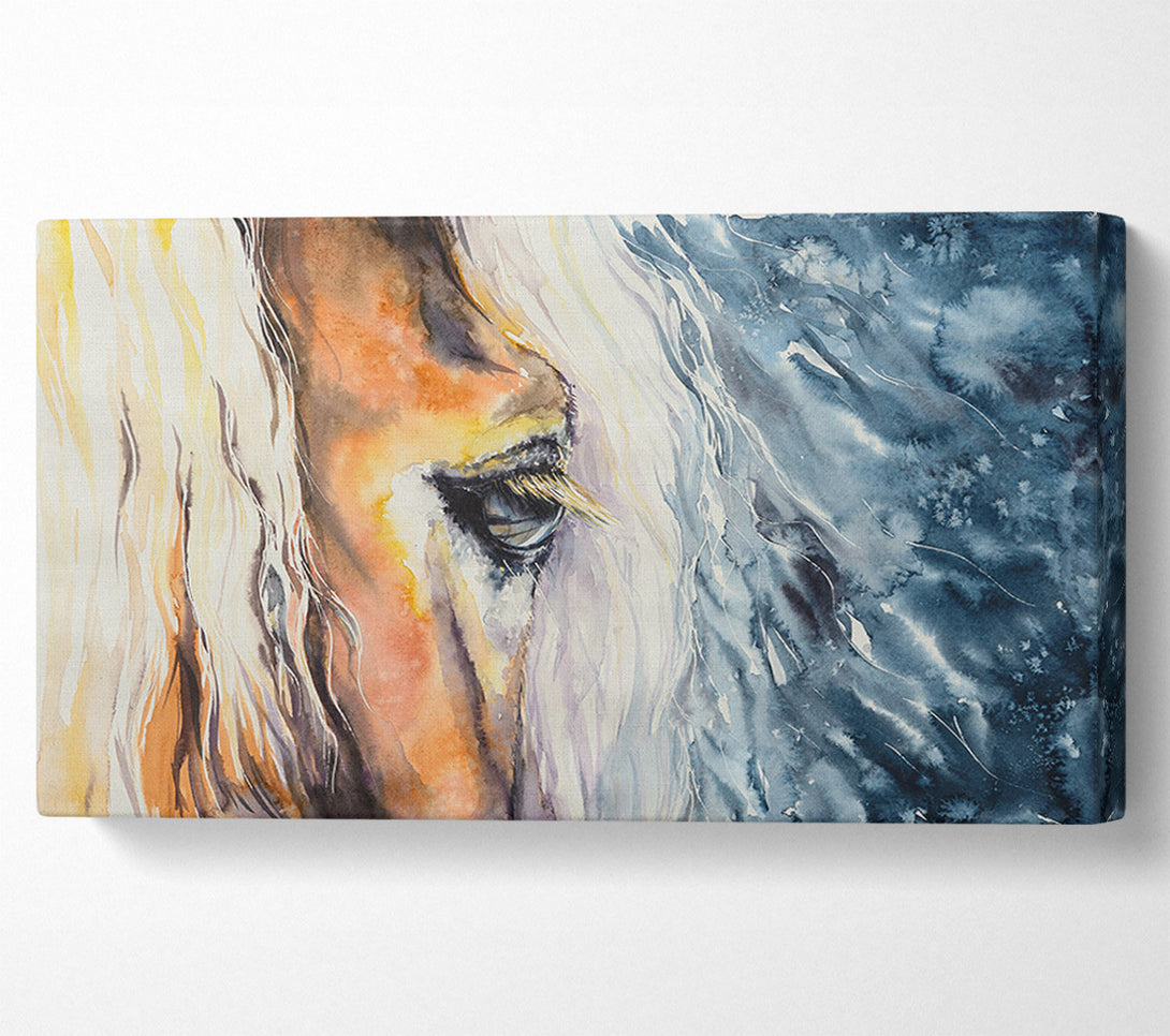  A Canvas Print of Eye Of The Horse Canvas Art