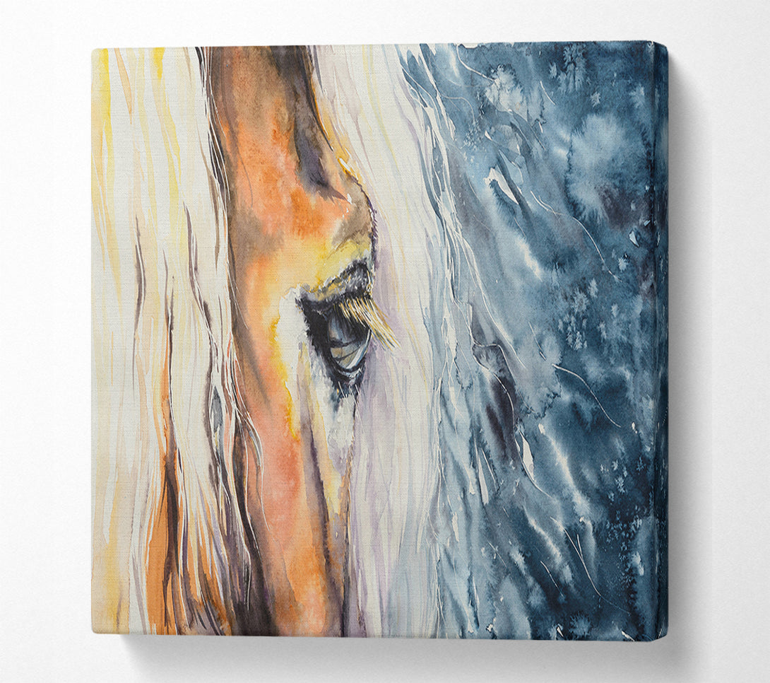  A Canvas Print of Eye Of The Horse Canvas Art