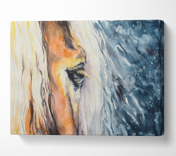  A Canvas Print of Eye Of The Horse Canvas Art