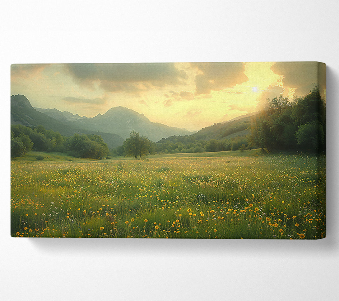  A Canvas Print of Golden Mountain Meadow Canvas Art