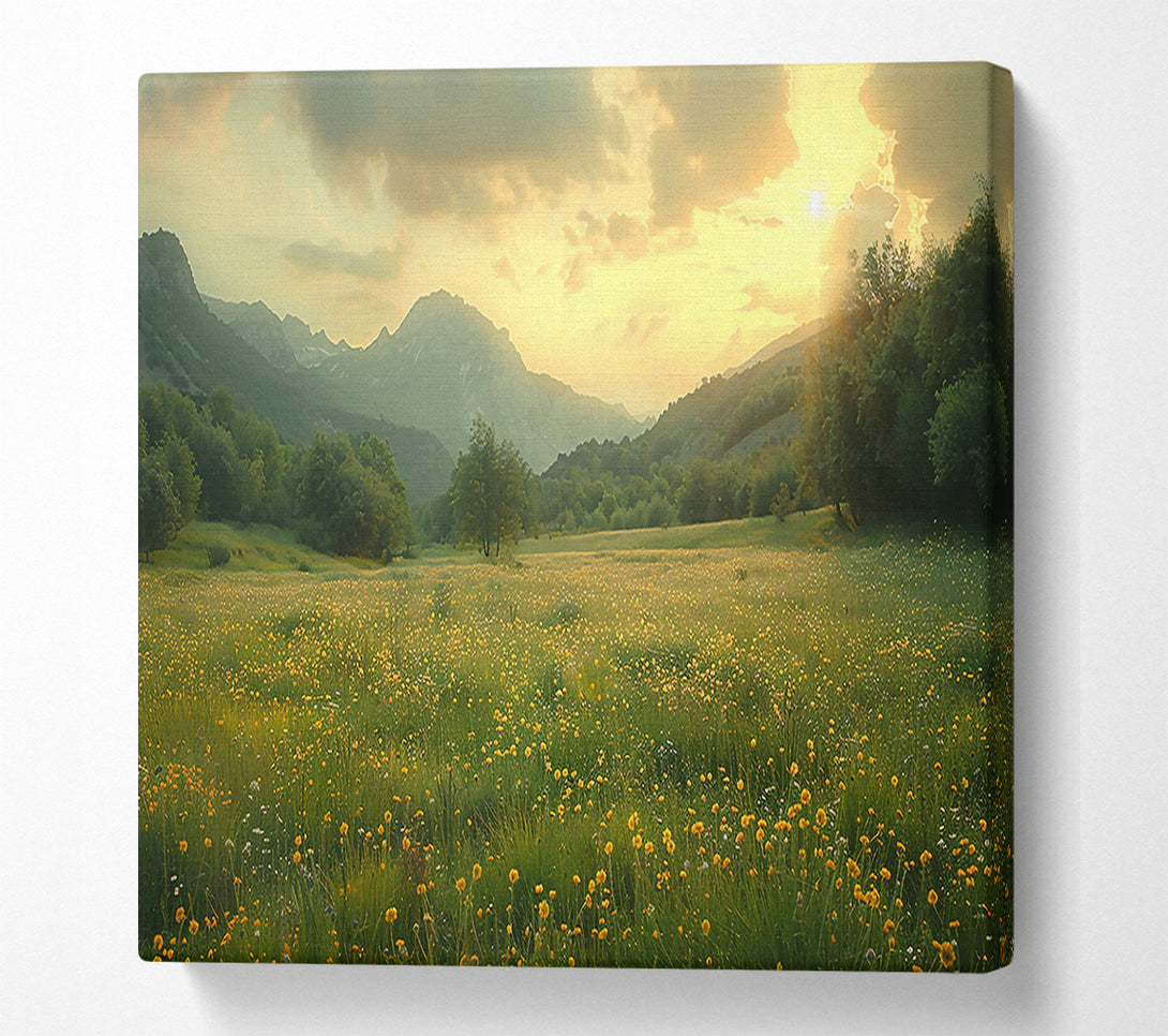  A Canvas Print of Golden Mountain Meadow Canvas Art