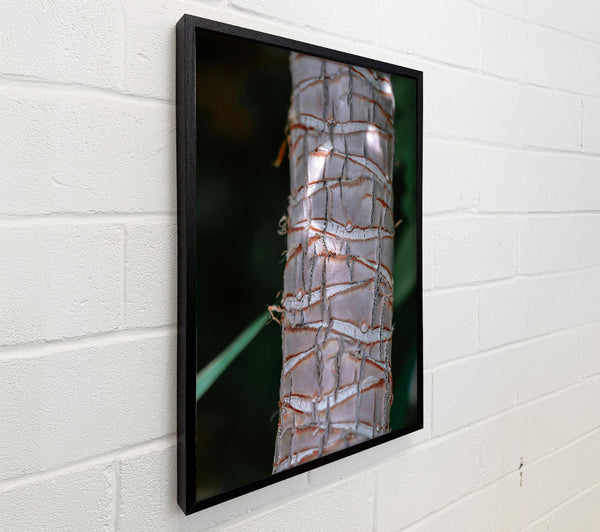 The Grey Bark