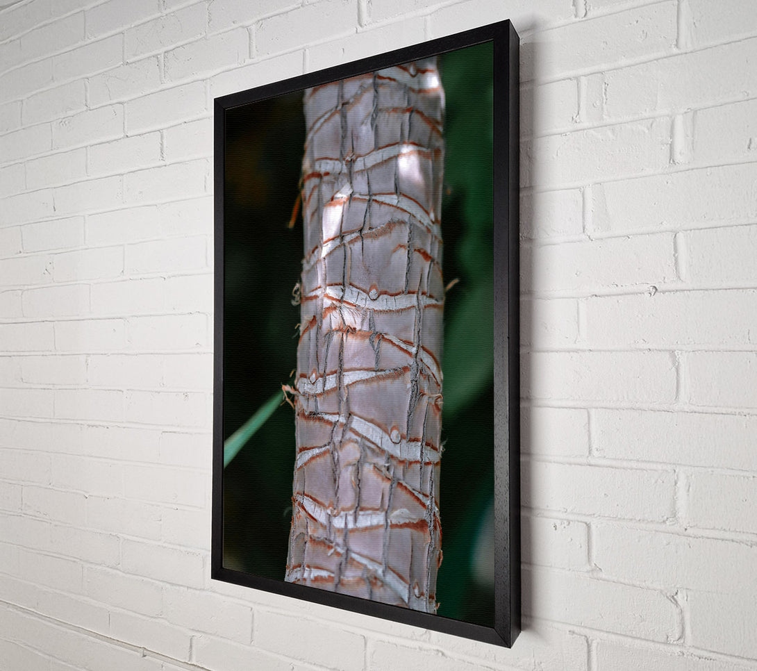  A Canvas Print of The Grey Bark Canvas Art