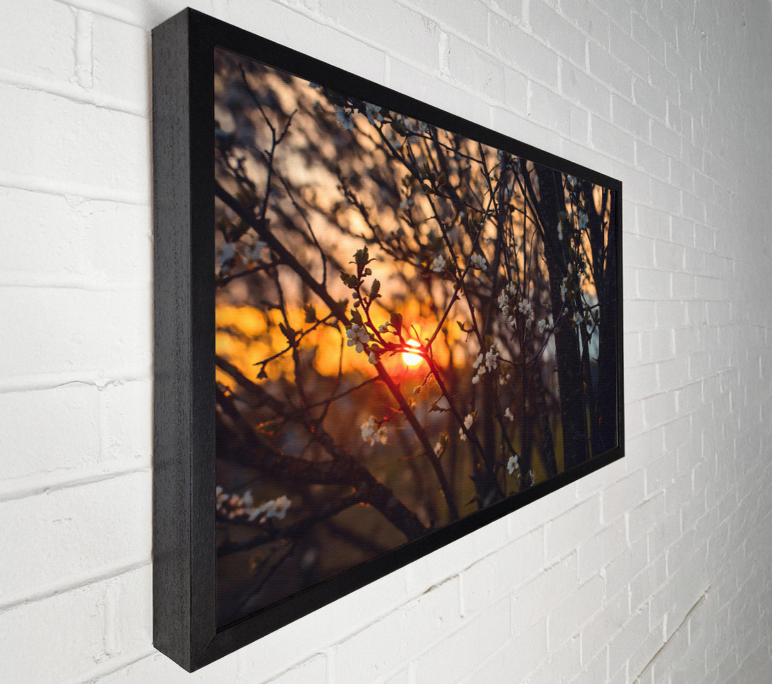  A Canvas Print of Orange Sunset Bloom Canvas Wall Art
