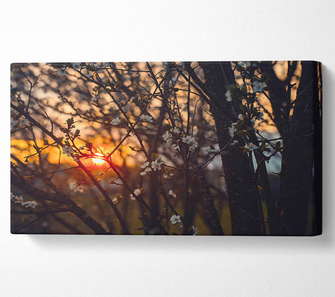  A Canvas Print of Orange Sunset Bloom Canvas Wall Art