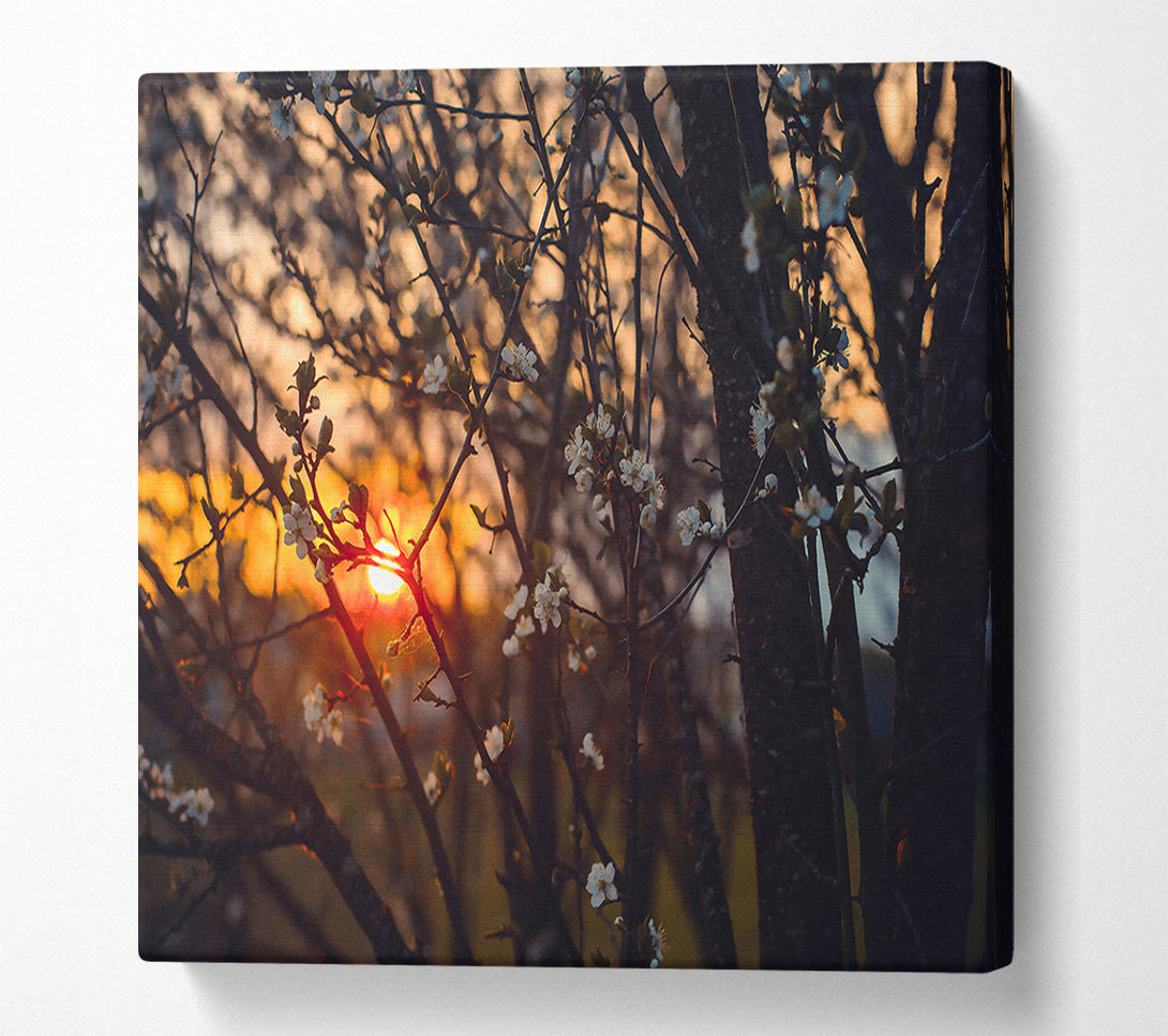  A Canvas Print of Orange Sunset Bloom Canvas Wall Art
