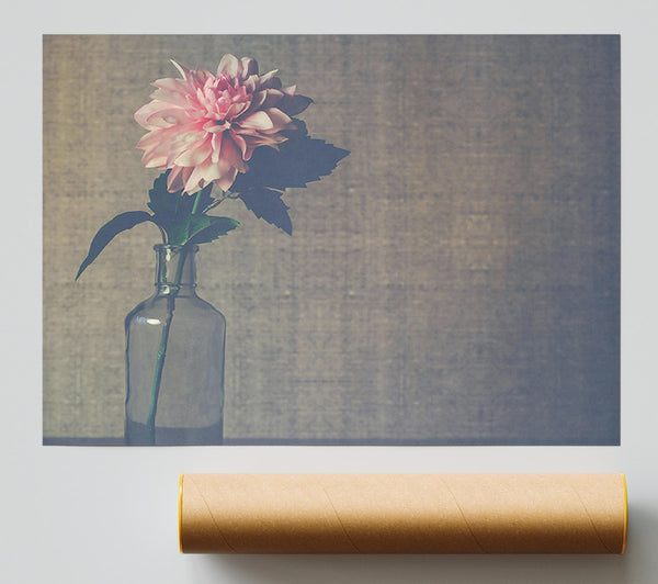 Pale Pink Bloom Giclee Print