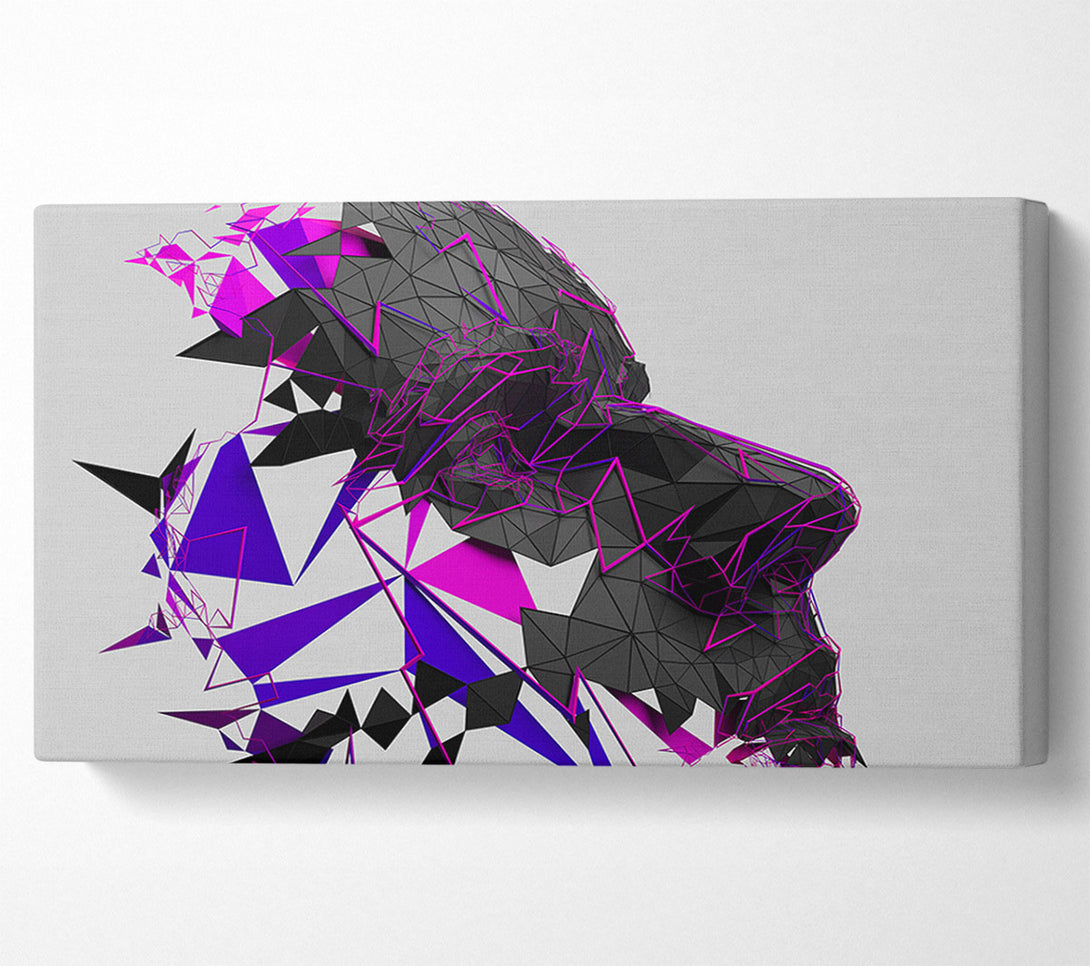  A Canvas Print of Face Lines Canvas Wall Art