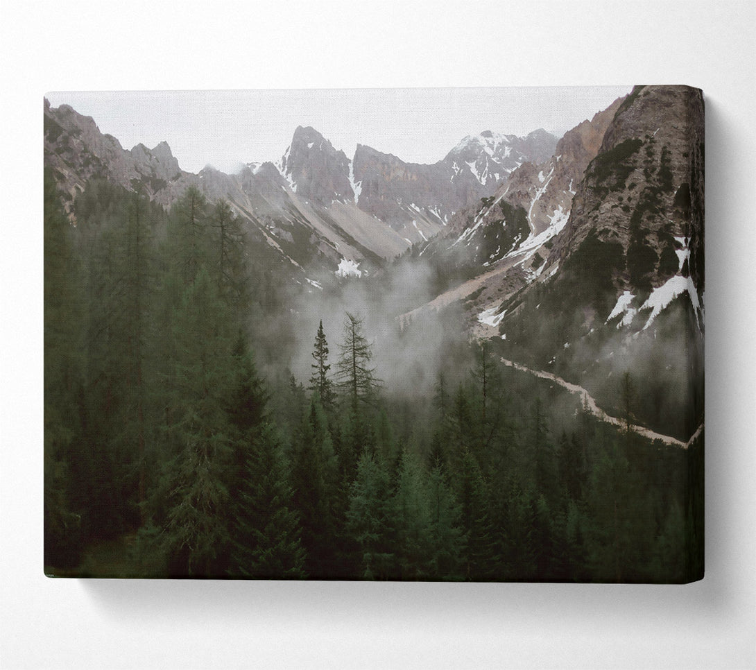  A Canvas Print of Emerald Mountain Mist Canvas Wall Art