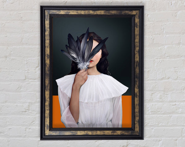 Face Of Feathers Framed Print