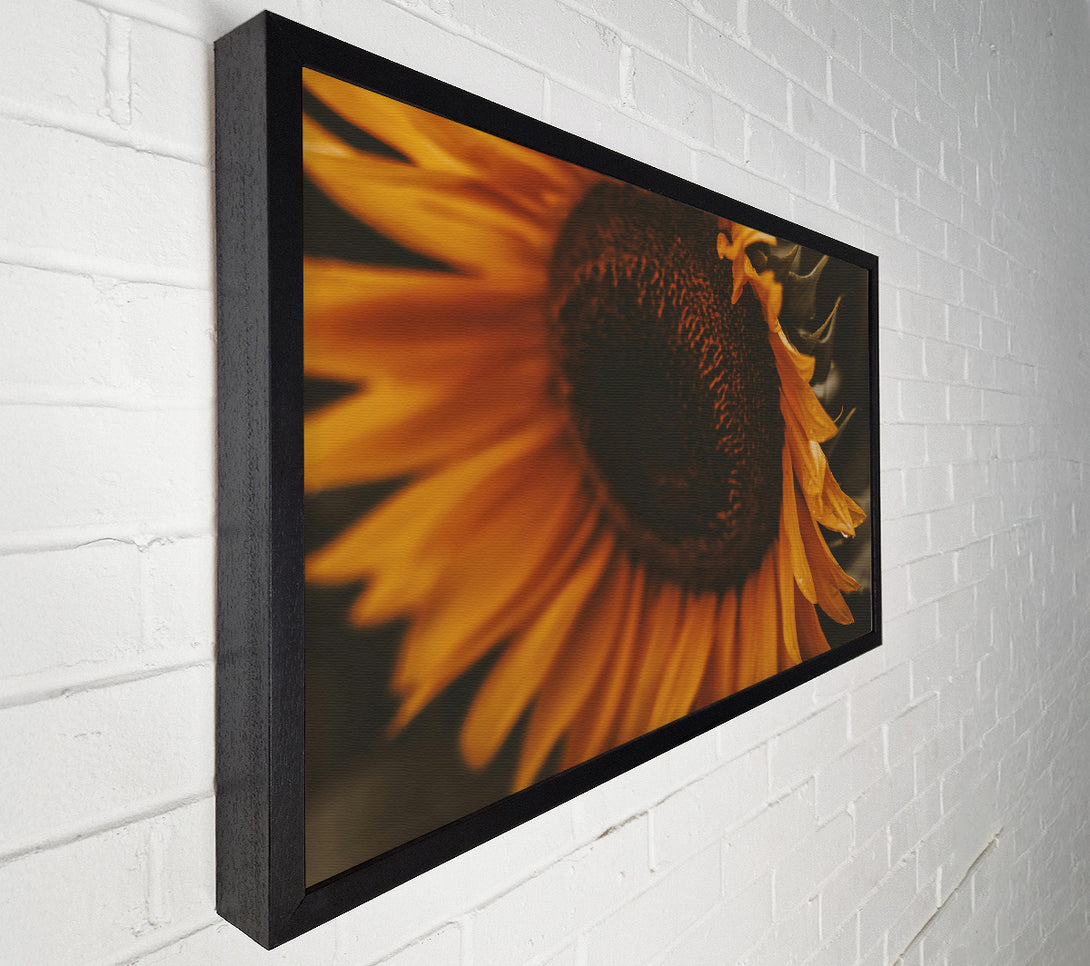  A Canvas Print of Golden Sunset Bloom Canvas Wall Art