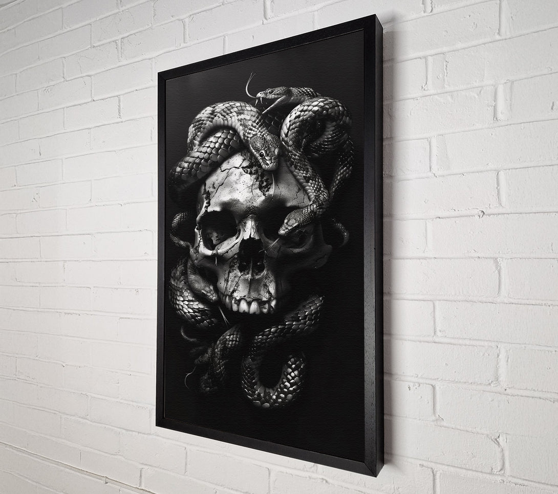  A Canvas Print of Silver Skull Embrace Canvas Wall Art
