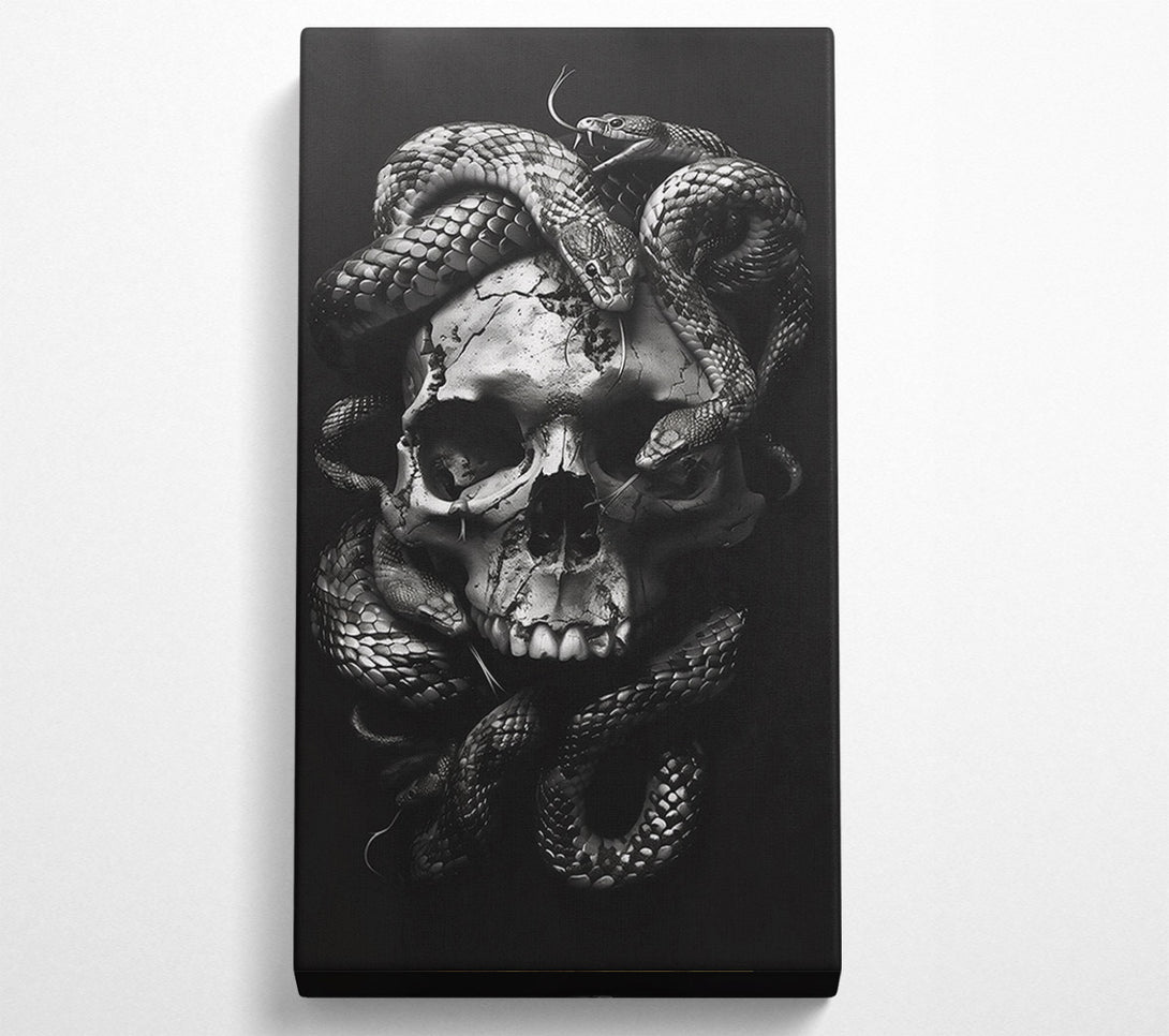  A Canvas Print of Silver Skull Embrace Canvas Wall Art