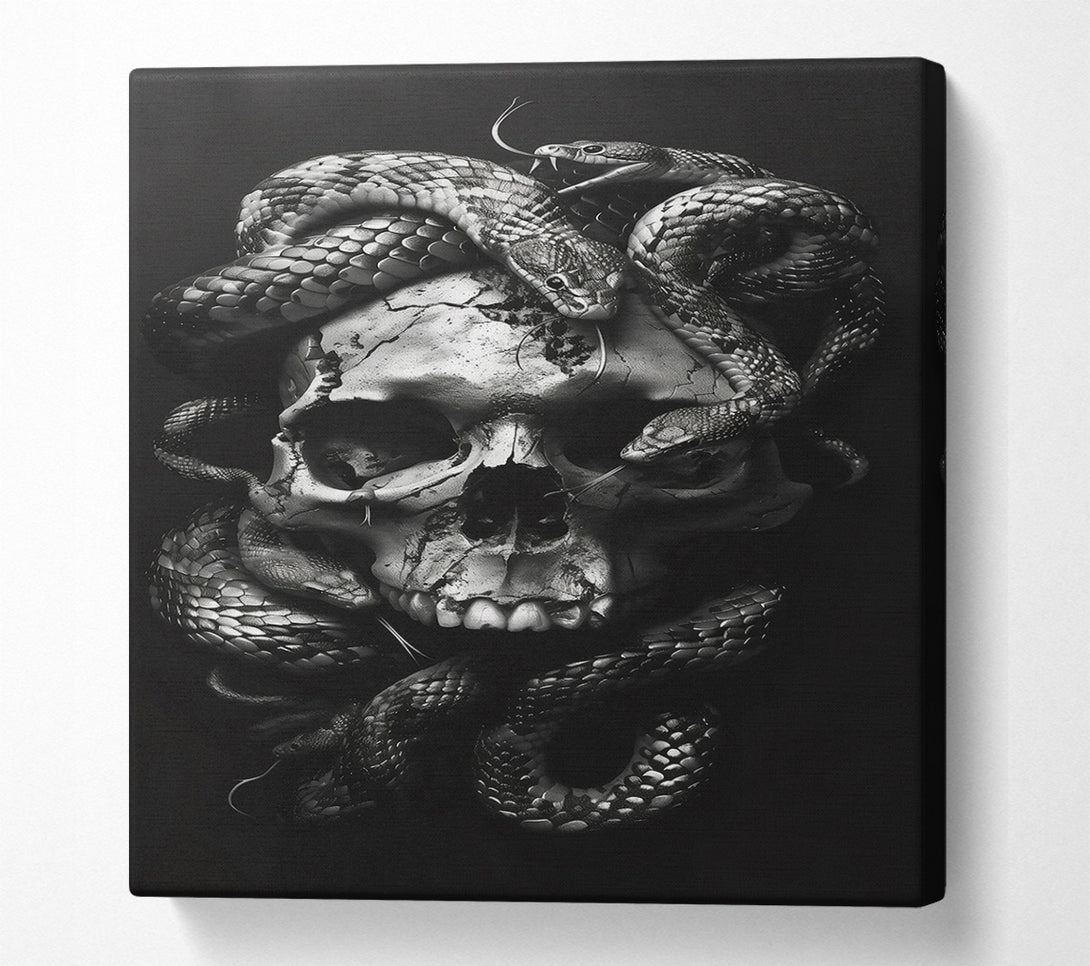  A Canvas Print of Silver Skull Embrace Canvas Wall Art