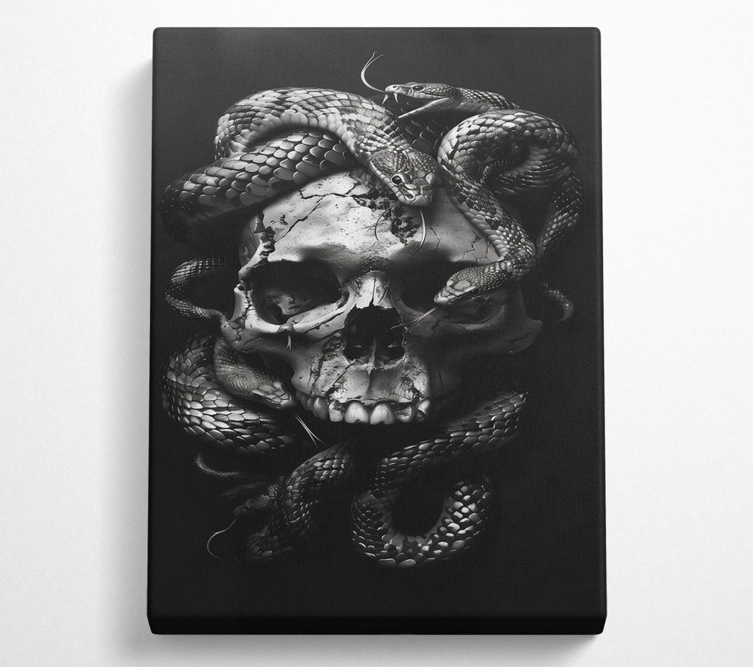  A Canvas Print of Silver Skull Embrace Canvas Wall Art