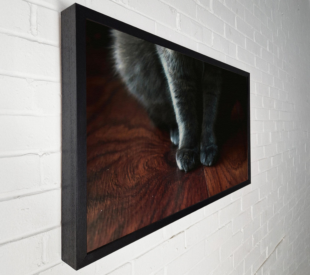  A Canvas Print of Gray Paws On Wood Canvas Print