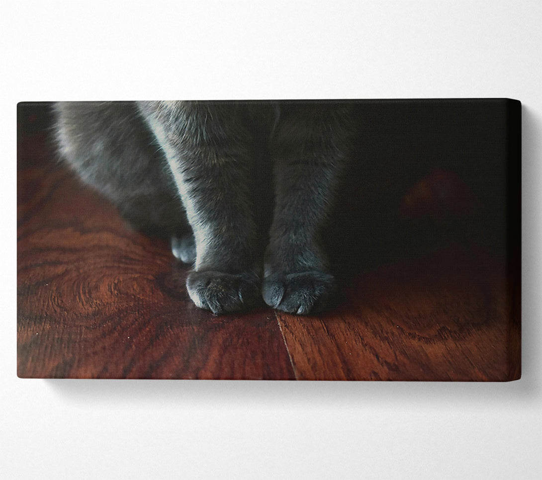 A Canvas Print of Gray Paws On Wood Canvas Print