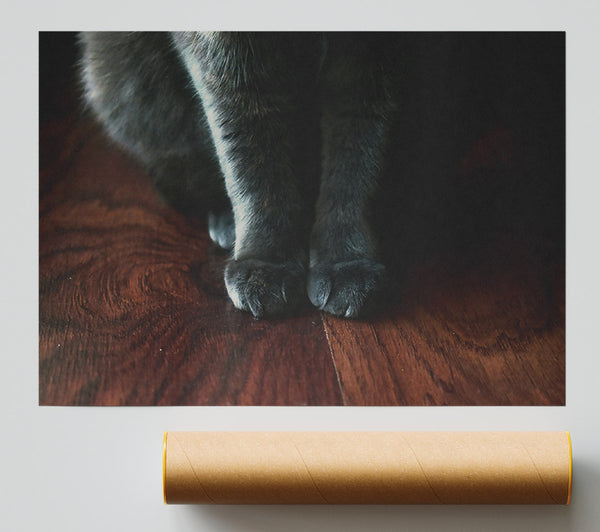 Gray Paws On Wood Giclee Print