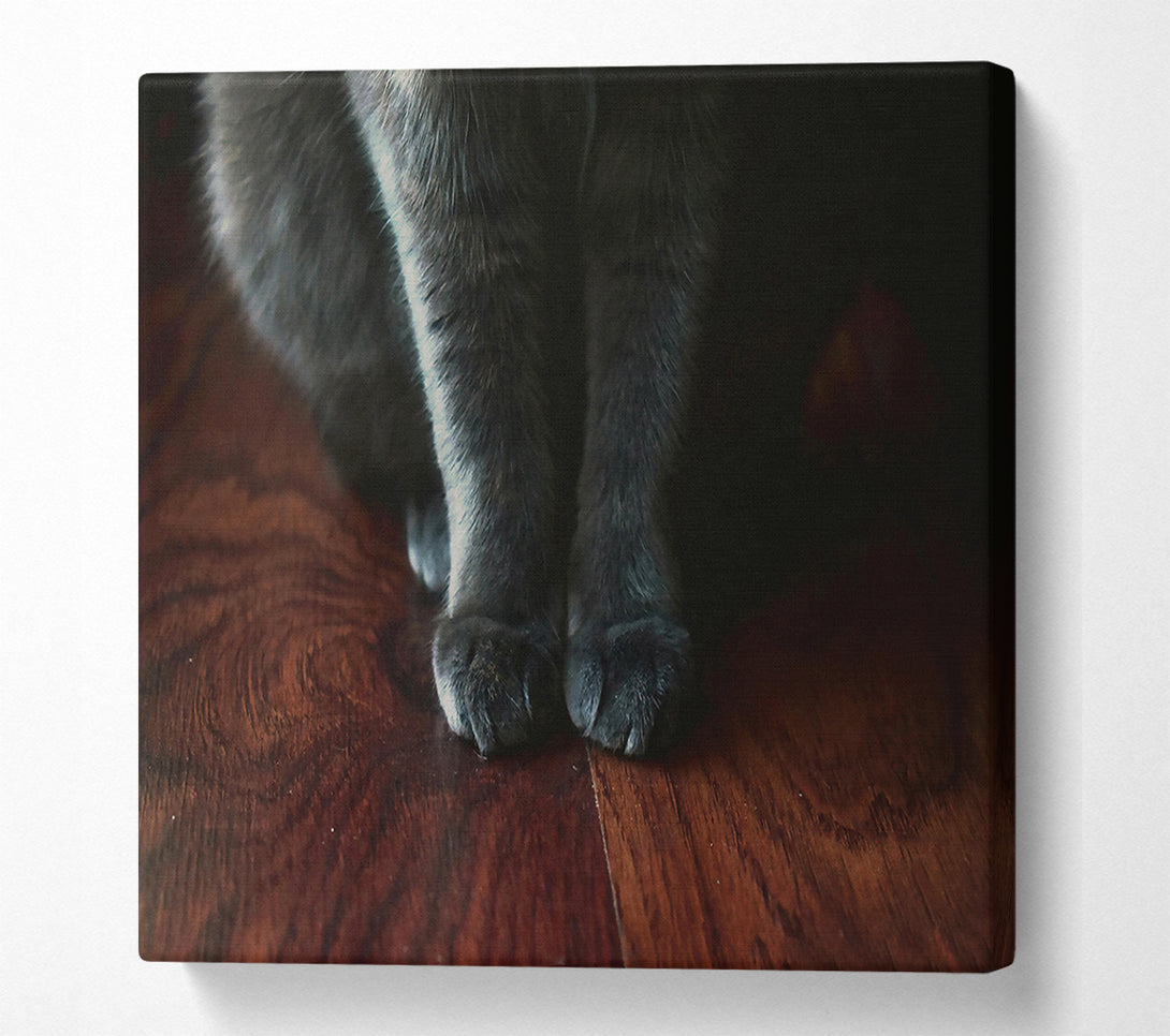  A Canvas Print of Gray Paws On Wood Canvas Print
