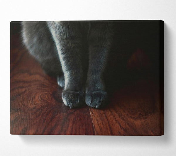  A Canvas Print of Gray Paws On Wood Canvas Print