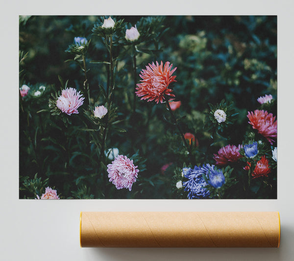 Pink Blooms In Green Giclee Print