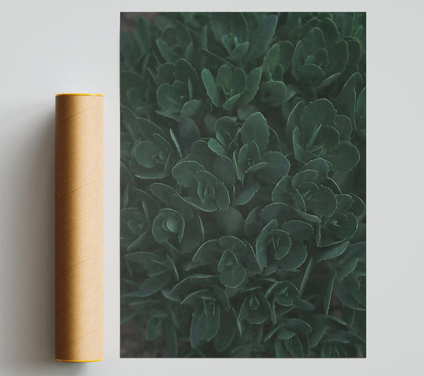 Emerald Green Embrace Giclee Print