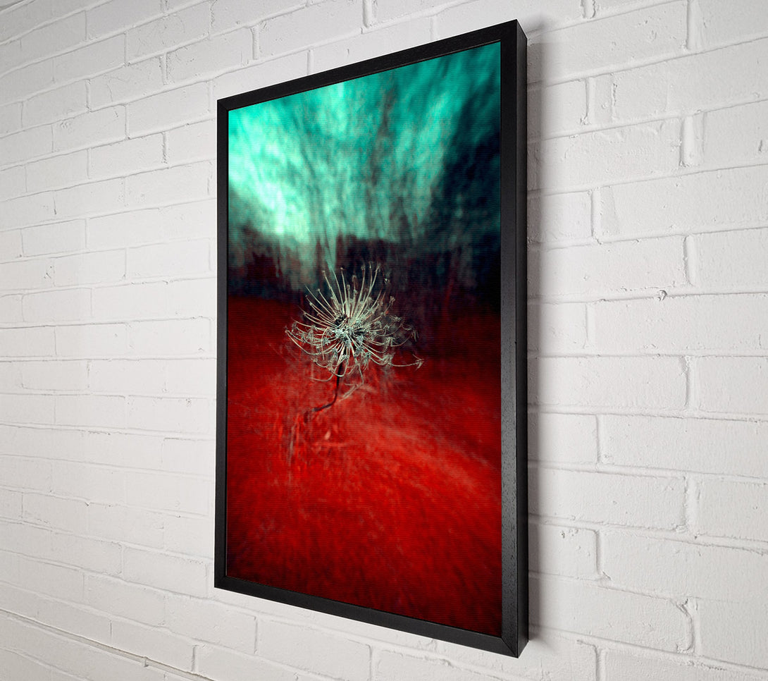  A Canvas Print of Crimson Bloom Canvas Print
