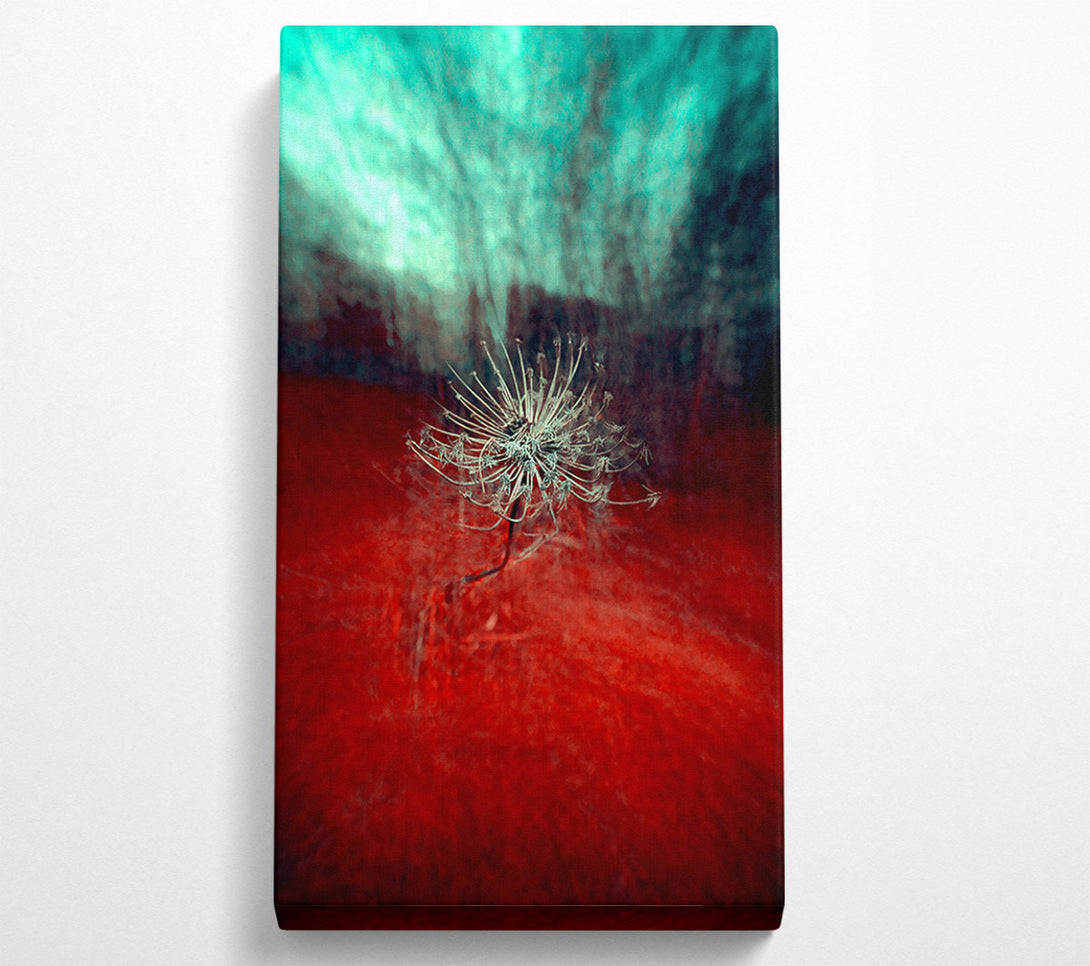  A Canvas Print of Crimson Bloom Canvas Print