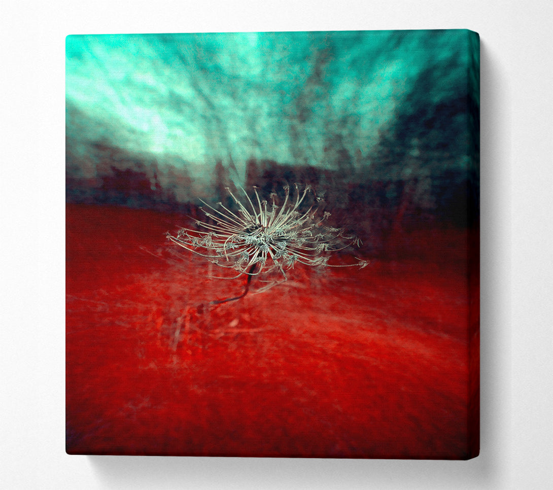  A Canvas Print of Crimson Bloom Canvas Print