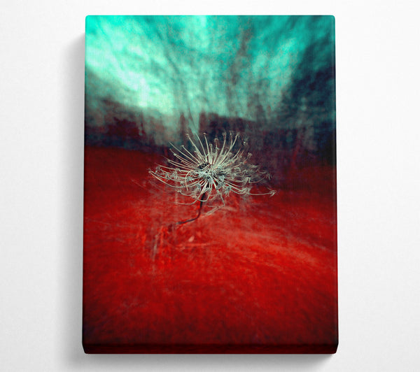  A Canvas Print of Crimson Bloom Canvas Print