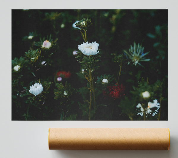 White Blooms In The Dark Green Giclee Print