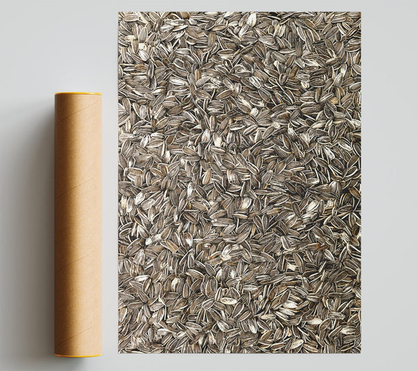 Black And White Seeds Poster