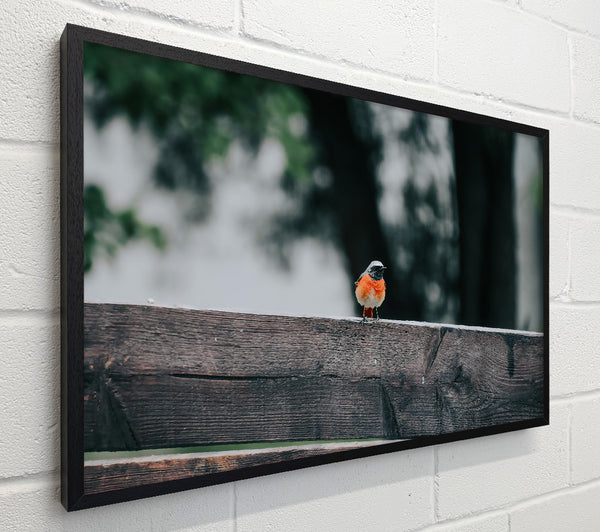 Red Bird On Wood