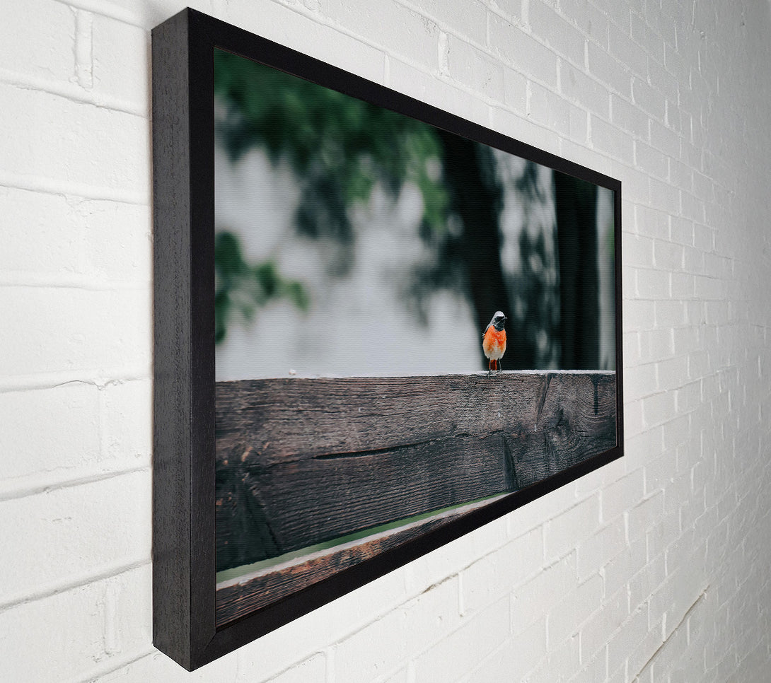  A Canvas Print of Red Bird On Wood Canvas Art