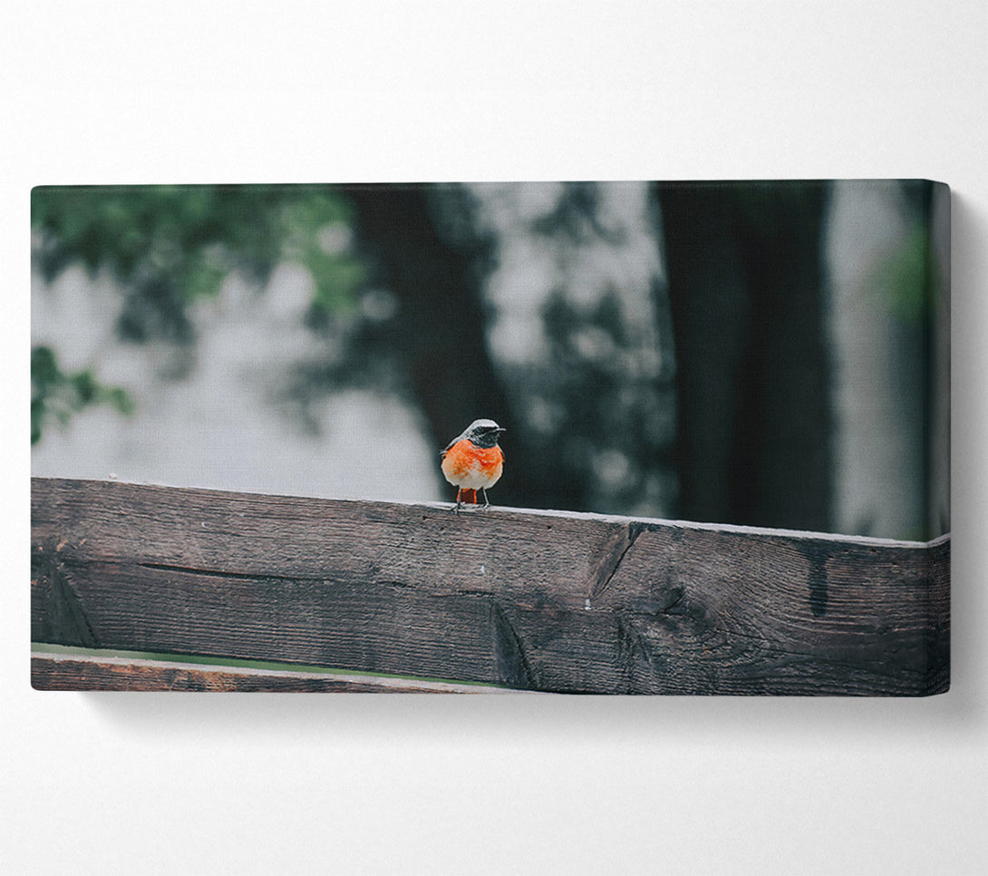  A Canvas Print of Red Bird On Wood Canvas Art