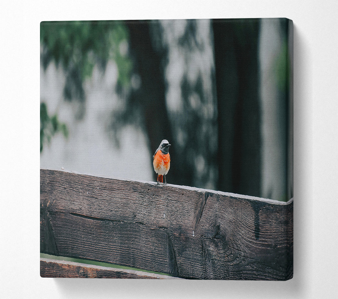  A Canvas Print of Red Bird On Wood Canvas Art