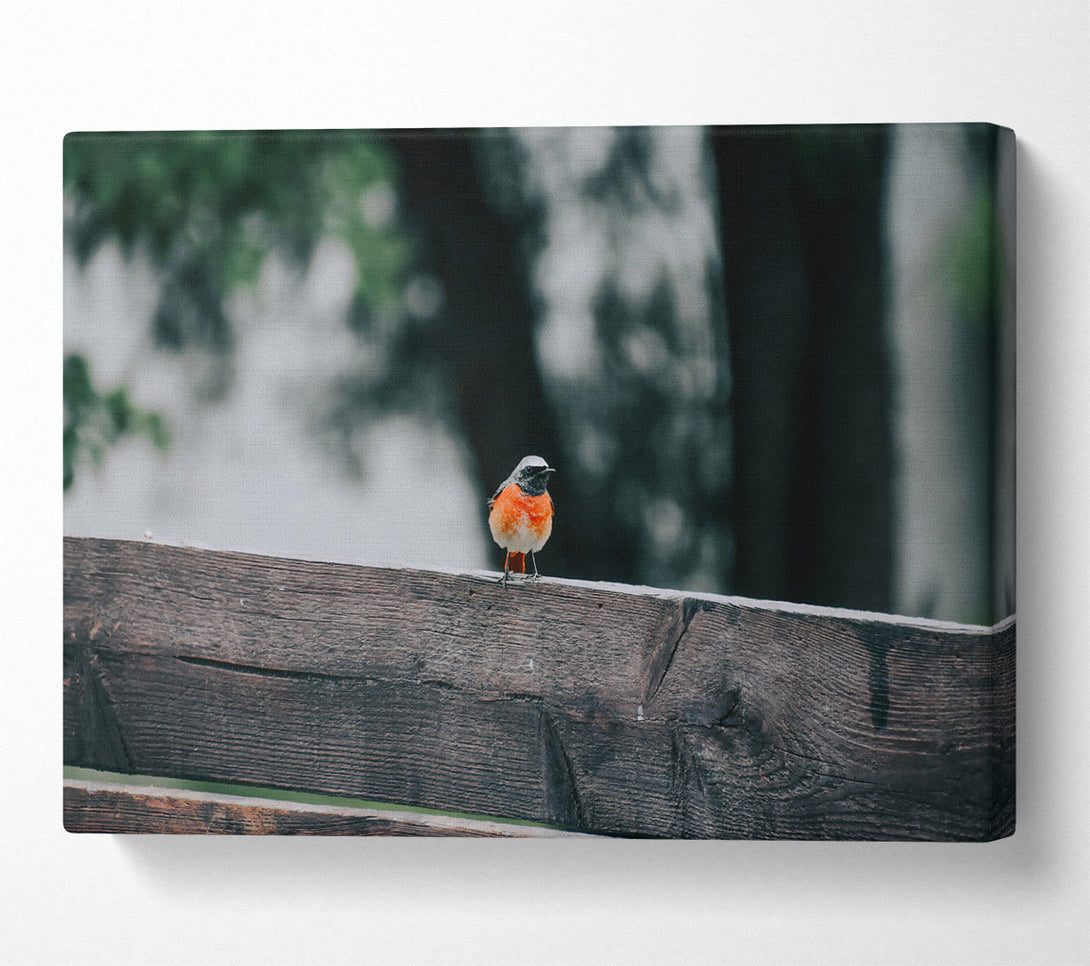  A Canvas Print of Red Bird On Wood Canvas Art