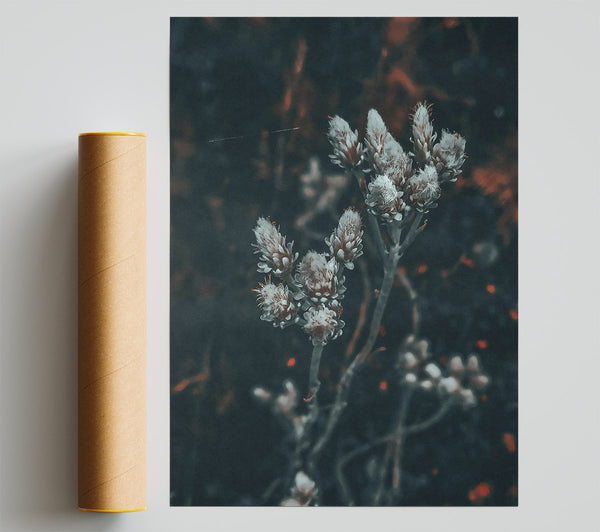 Teal Bloom'S Embrace Poster