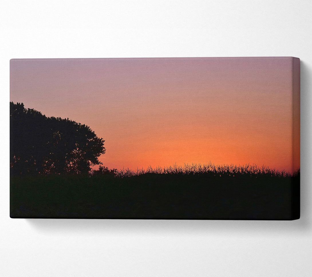  A Canvas Print of Silhouetted Tree At Sunset Canvas Print