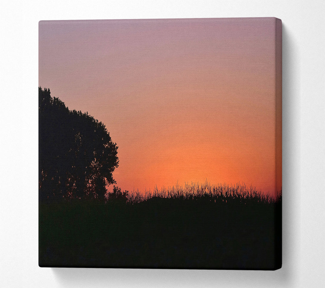  A Canvas Print of Silhouetted Tree At Sunset Canvas Print